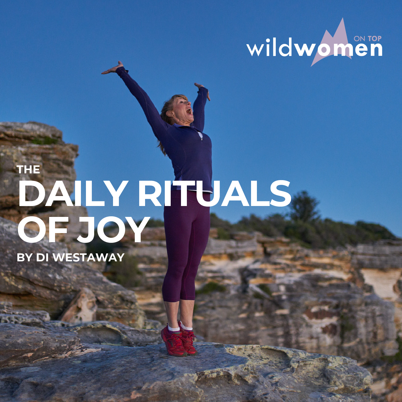The Daily Rituals Of Joy Ebook