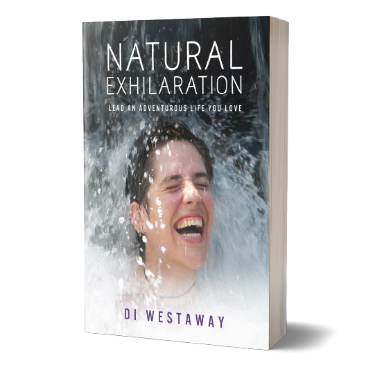 Natural Exhilaration by Di Westaway Paperback
